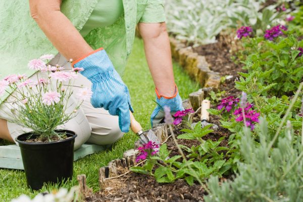 General Garden Services