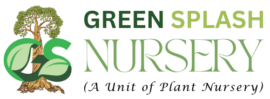 greensplashnursery.com